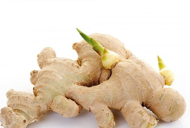 Những loại rau củ mọc mầm có hại và có lợi cho sức khỏe