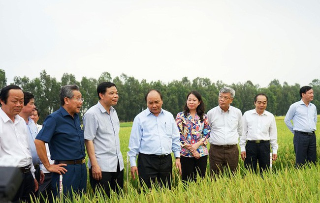 Đôi lời thưa Thủ tướng