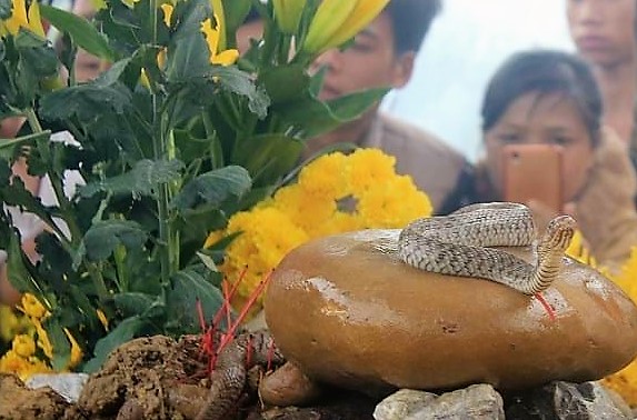 Trở lại thời đồ đá?