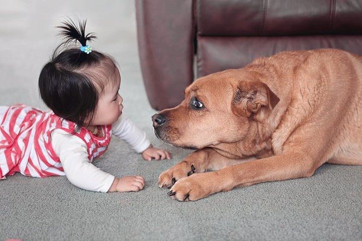 Những thứ có vẻ vô hại nhưng thực sự nguy hiểm cho em bé của bạn