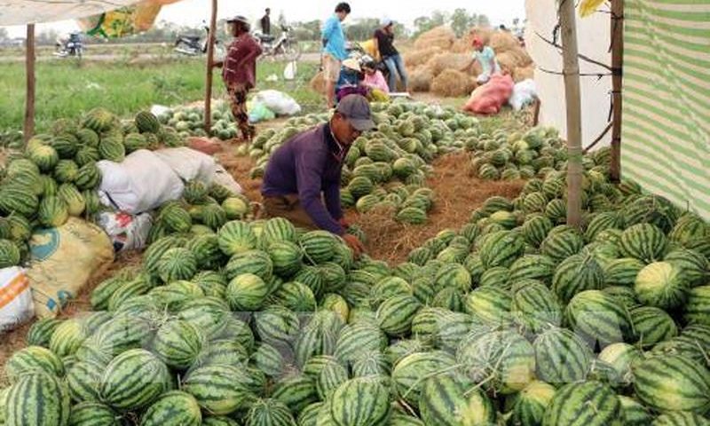 Nông dân mình khổ quá