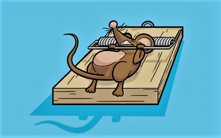 Để không thất bại cần tránh 4 bẫy nguy hiểm này