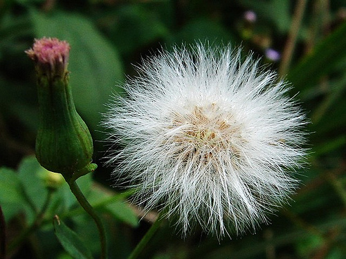 Những câu chuyện về lòng tự trọng hay nhất