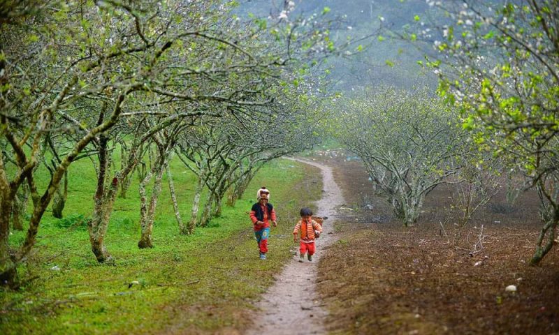 Bao giờ giáo dục mang xuân tới?