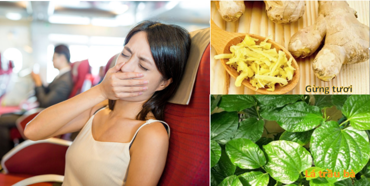 Mẹo đơn giản chống say tàu xe