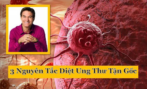 3 nguyên tắc và 1 chế độ ăn ngừa ung thư không thể bỏ qua