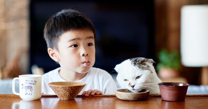 Trẻ có 5 biểu hiện này, cho thấy rằng bạn đã dạy con rất tốt