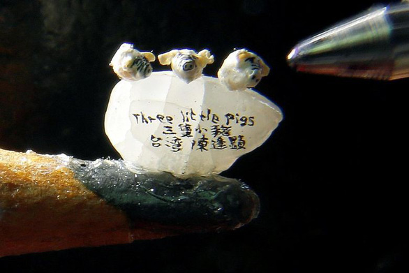 Châu Á thắm xuân, rộn ràng đón Tết Kỷ Hợi