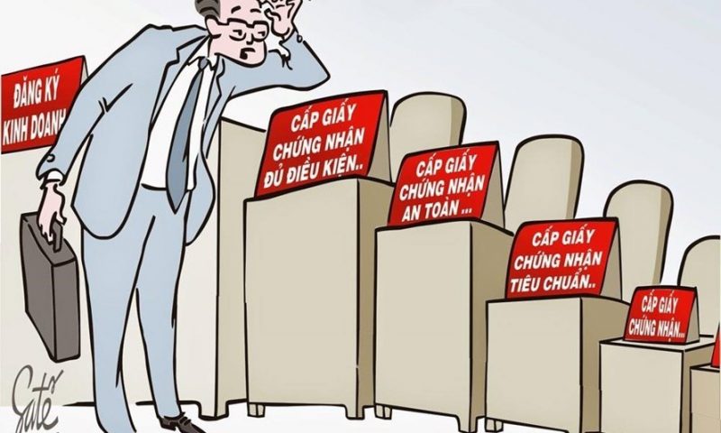 Hoan nghênh: Lợn sẽ được ăn chuối!