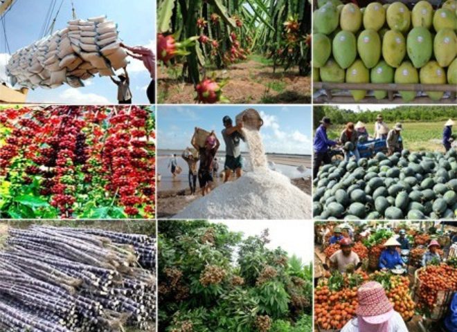 “Chủ nghĩa dân túy” không có chỗ trong thị trường hàng hóa