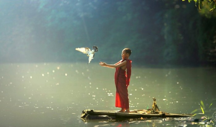 Người luôn từ bi có được 9 lợi ích