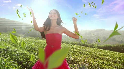 Câu chuyện Trà Xanh Không Độ