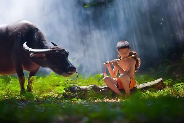 Bốn điều đại kỵ trong đời người