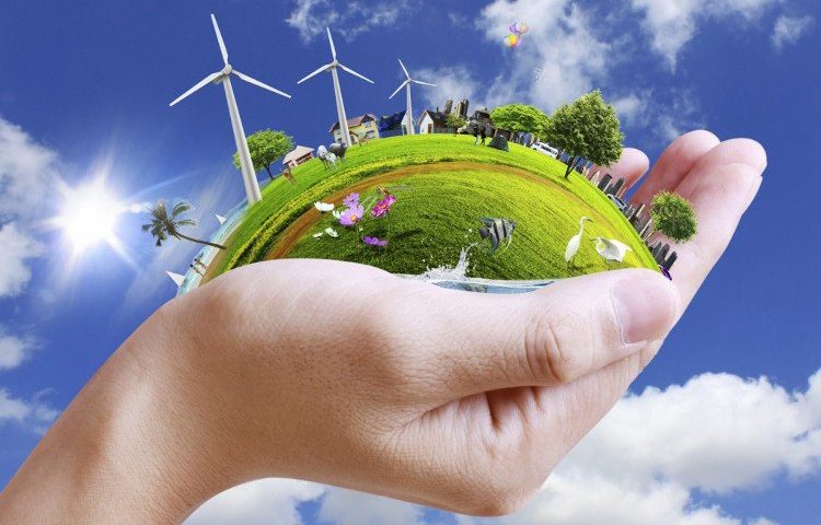 Có lòng tin và sự bình an mới hạnh phúc