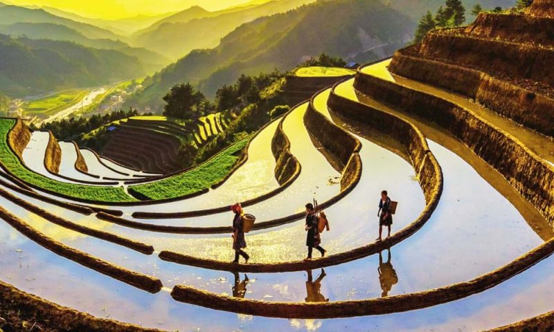 Thiên nhiên và mặt xấu xí của phát triển