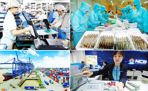 Doanh nghiệp cũng cần vaccine để kháng dịch suy thoái