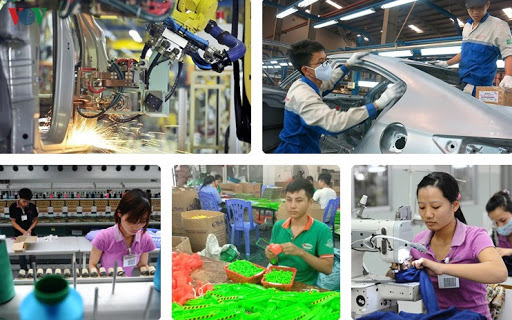 Chăm đàn gà nhà trước khi đón đại bàng
