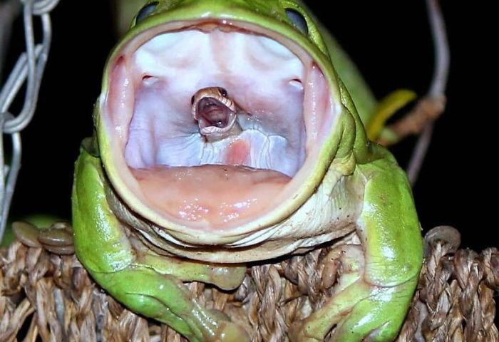 Thiên nhiên bí hiểm và nguy hiểm