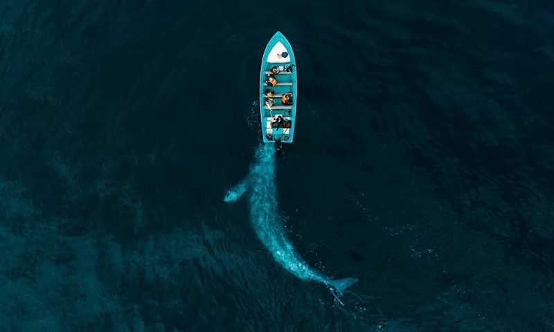 Thế giới nhìn từ trên cao