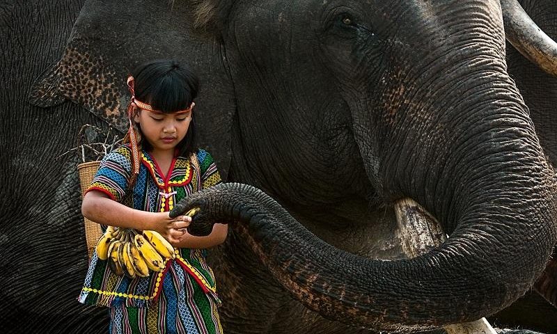 Khám phá Việt Nam qua ảnh