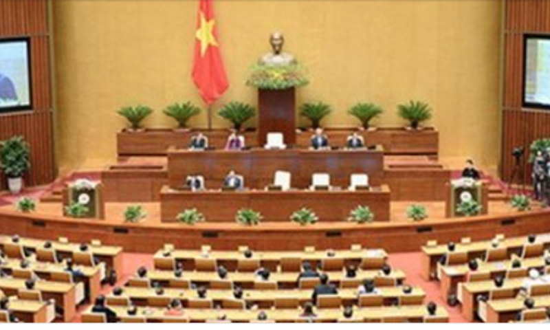 Loại bỏ người cơ hội, xu nịnh