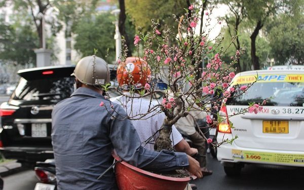 Xuân này không thể như… Xuân qua