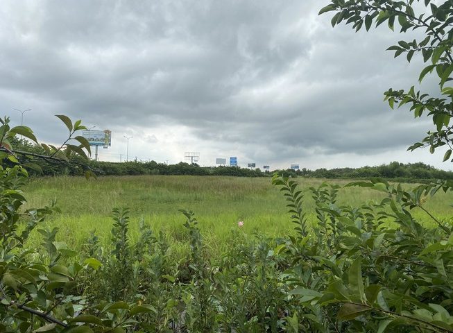 Về vụ tố cáo đang um sùm