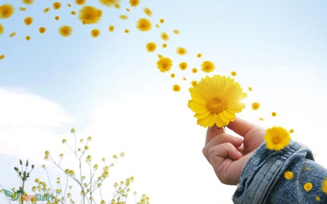 Đo lường hạnh phúc