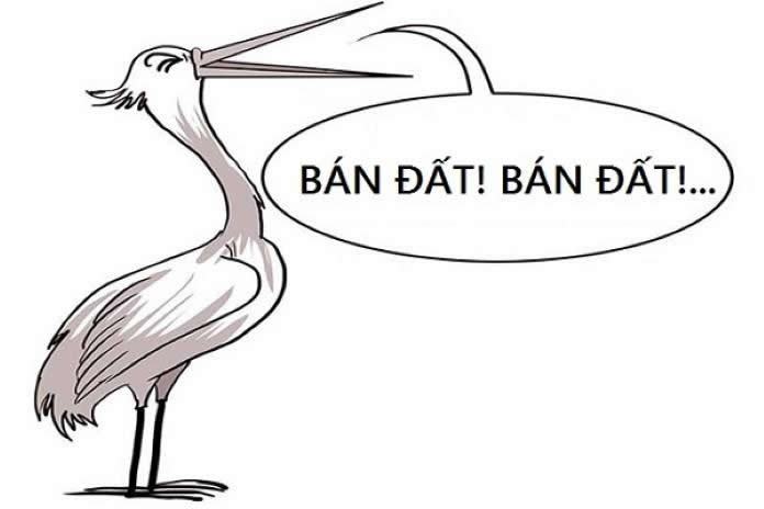 ‘Cò đất’ giải nghệ tiết lộ độc chiêu thổi giá